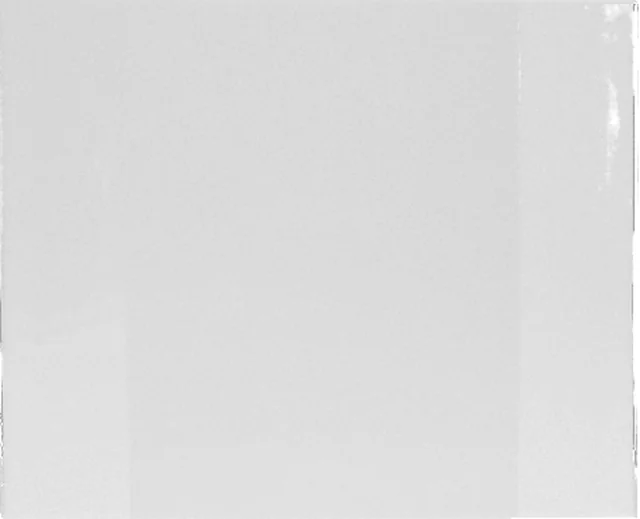 Onderlegger Kangaro 63x50cm transparant
