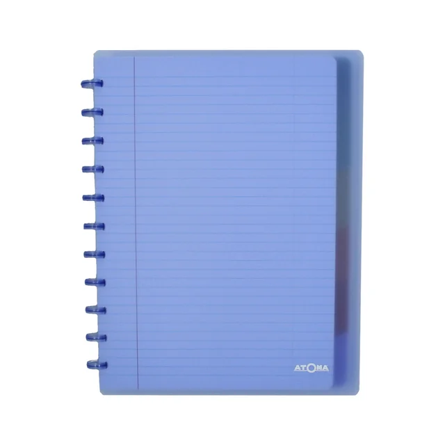 Schrift Atoma A4+ ruit 5x5mm 120blz 90gr PP transparant assorti