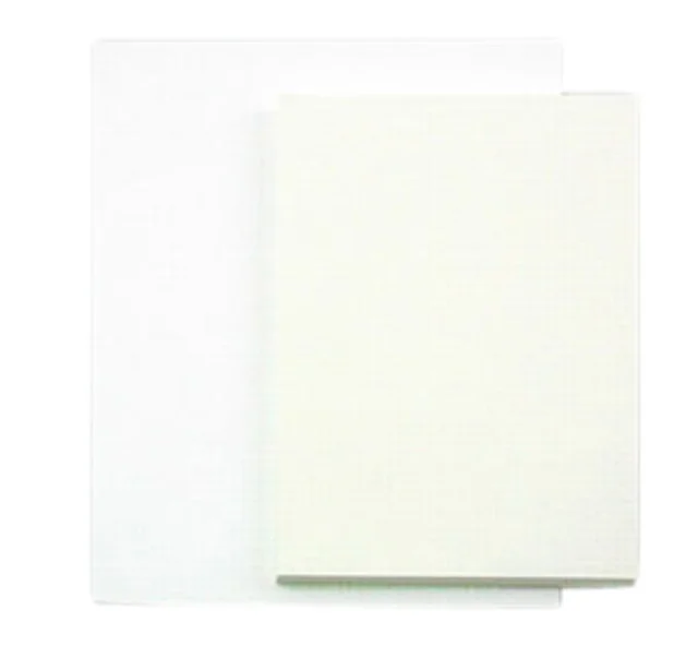 Tekenpapier Papyrus 50x65cm 200gr 100 vel