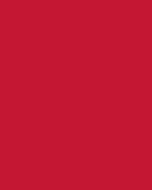 Etalagekarton Folia 1-zijdig 48x68cm 380gr nr211 rood