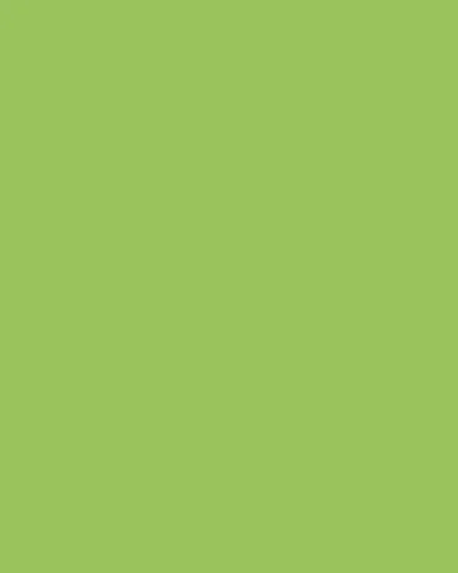 Etalagekarton Folia 1-zijdig 48x68cm 380gr nr941 fluor groen