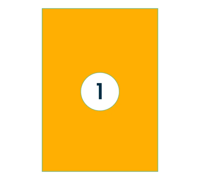 Etiket Rillprint 210x297mm fluor oranje 100 stuks