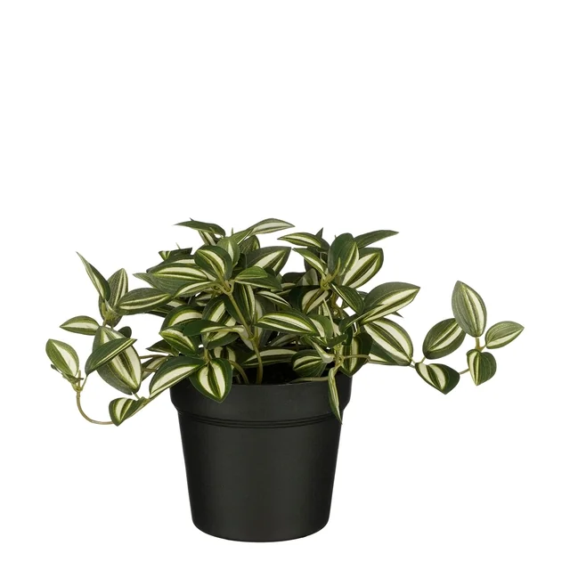 Kunstplant Mica Tradescantia in pot groen 16x16cm