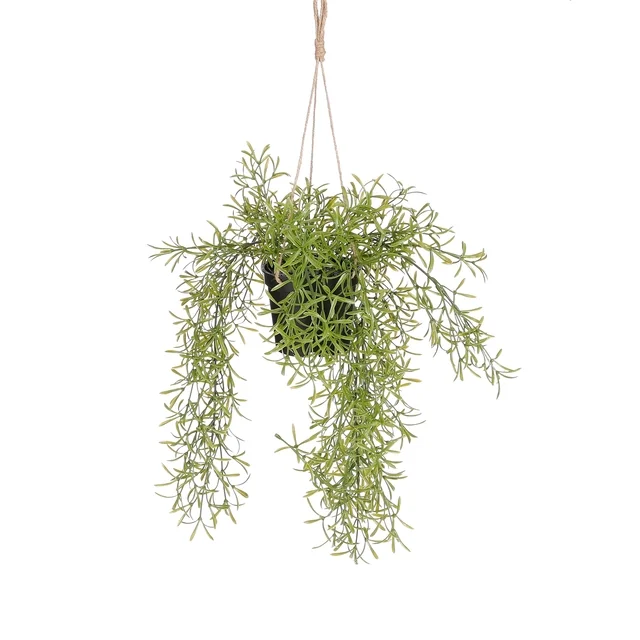 Kunstplant Mica Rhipsalis hangend in pot groen Ø9,5cm 40x20cm