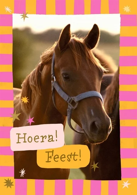 Wenskaart Hallmark uitnodiging paarden pak à 6 stuks