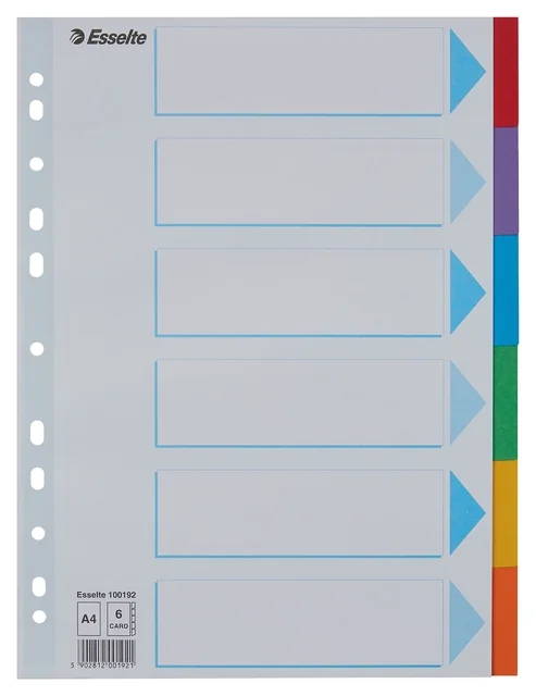 Tabbladen Esselte Standaard A4 6-delig karton 11-rings met voorblad assorti