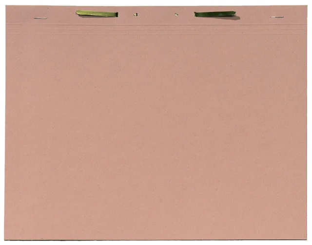 Binnenmap Djois A4 met snelhechter 300gr chamois