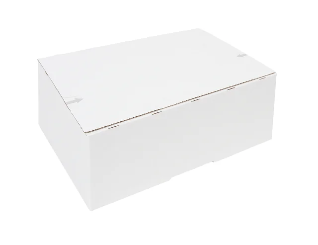 Postpakketbox IEZZY 2 200x140x80mm wit